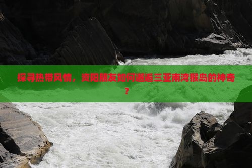 资阳前往三亚南湾猴岛旅游