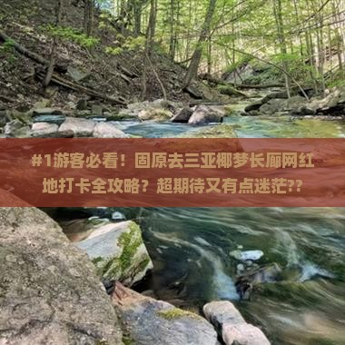 固原去三亚椰梦长廊旅游网红地点