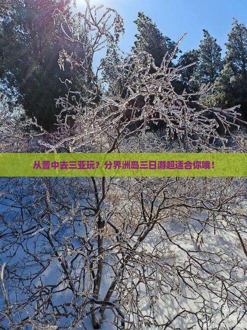 晋中出发三亚分界洲岛三日游