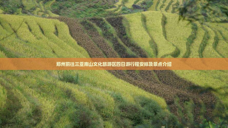 郑州前往三亚南山文化旅游区四日游