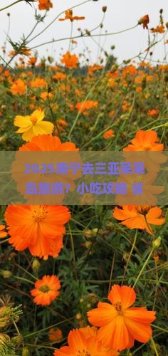 南宁前往三亚呆呆岛旅游小吃