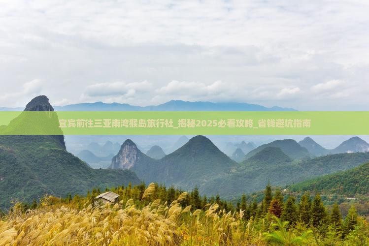 宜宾前往三亚南湾猴岛旅行社