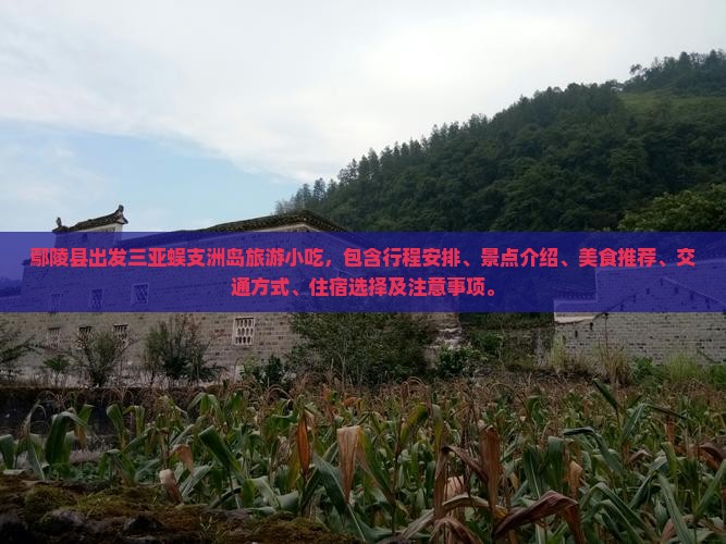 鄢陵县出发三亚蜈支洲岛旅游小吃