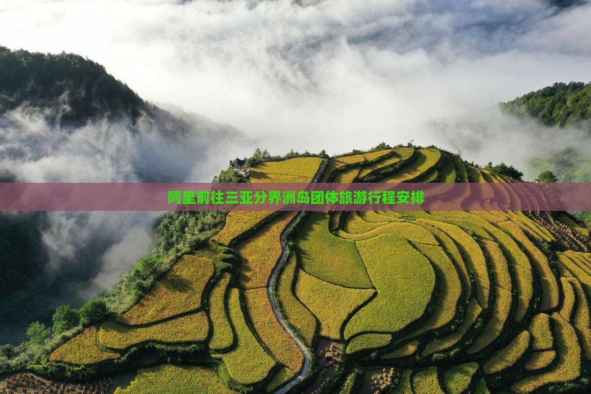 阿里前往三亚分界洲岛团体旅游