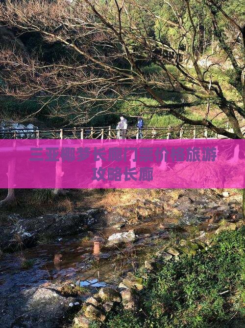 金华前往三亚椰梦长廊门票