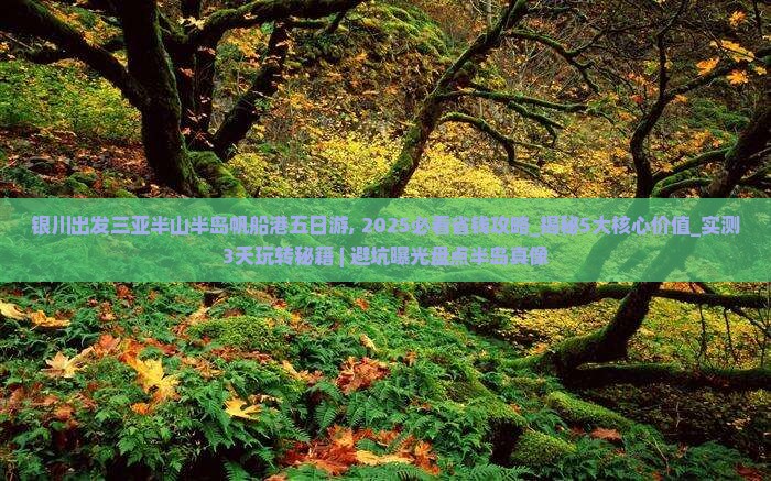 银川出发三亚半山半岛帆船港五日游