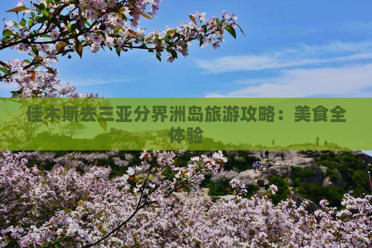 佳木斯去三亚分界洲岛旅游小吃
