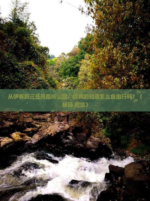 伊春前往三亚凤凰岭公园自由行