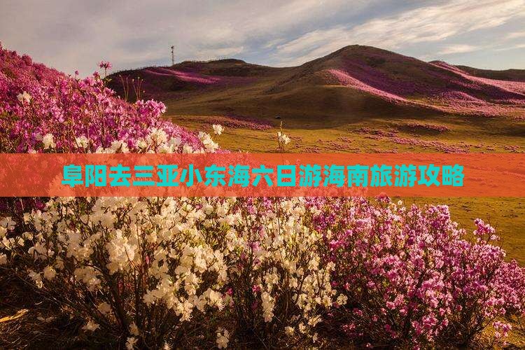 阜阳去三亚小东海六日游