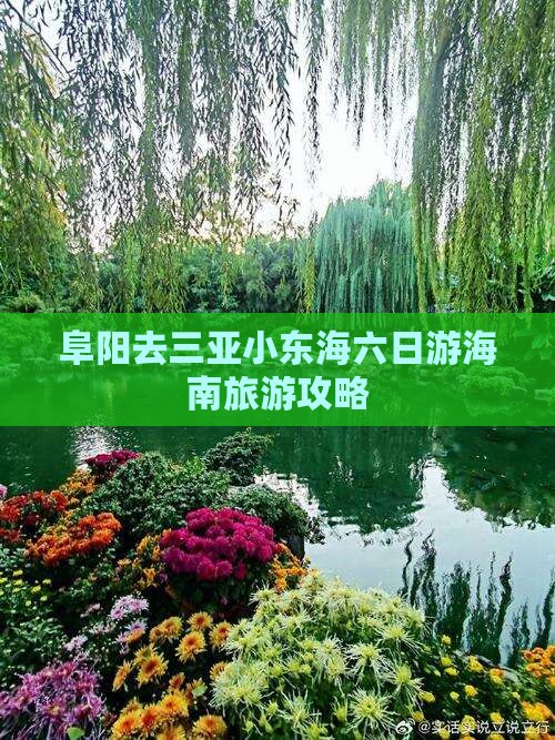 阜阳去三亚小东海六日游