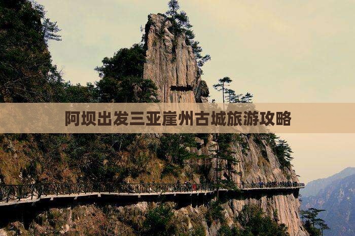 阿坝出发三亚崖洲古城旅行社