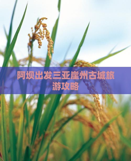 阿坝出发三亚崖洲古城旅行社