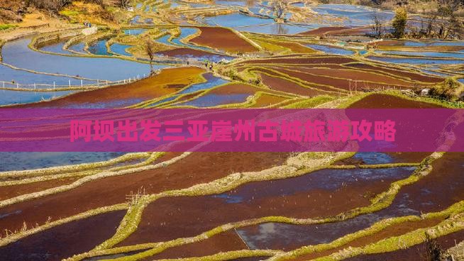 阿坝出发三亚崖洲古城旅行社