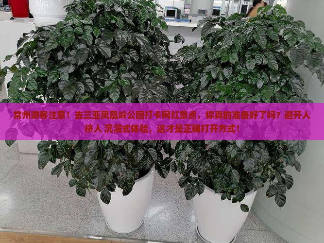 常州前往三亚凤凰岭公园旅游网红地点