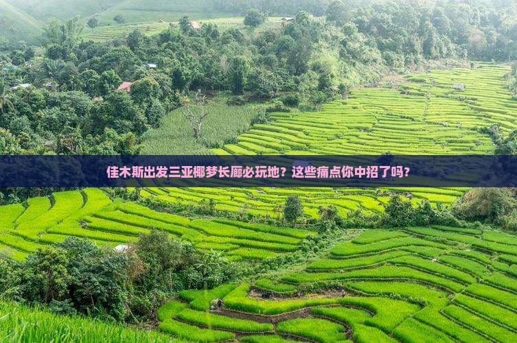 佳木斯出发三亚椰梦长廊必玩地