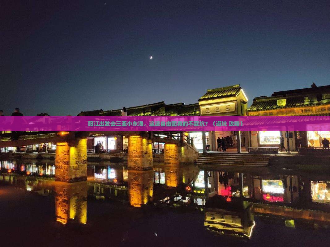 阳江前往三亚小东海自由团