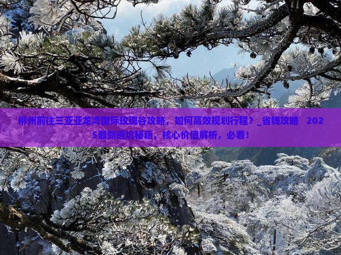 柳州前往三亚亚龙湾国际玫瑰谷攻略