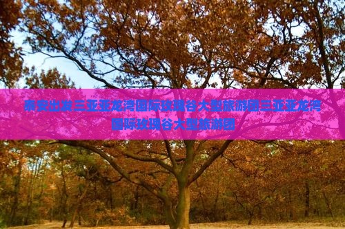 泰安出发三亚亚龙湾国际玫瑰谷大型旅游团
