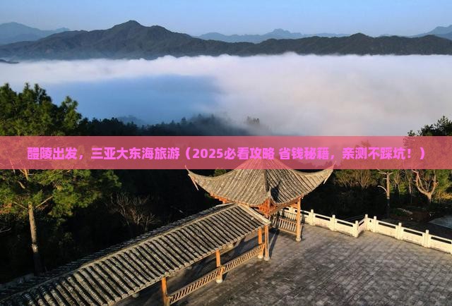 醴陵前往三亚大东海旅游