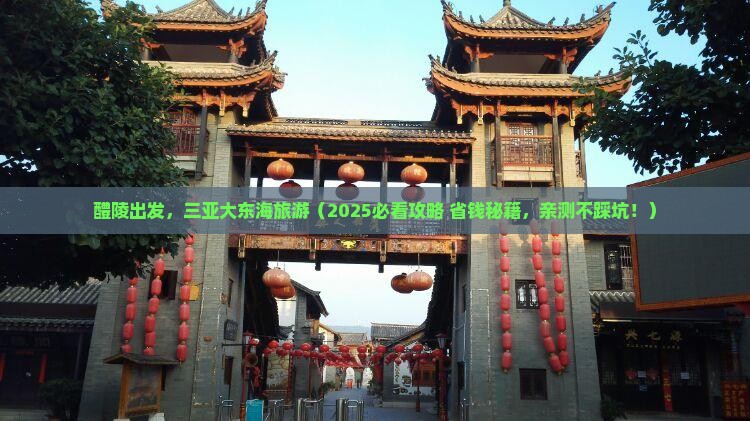 醴陵前往三亚大东海旅游