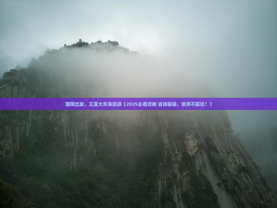 醴陵前往三亚大东海旅游