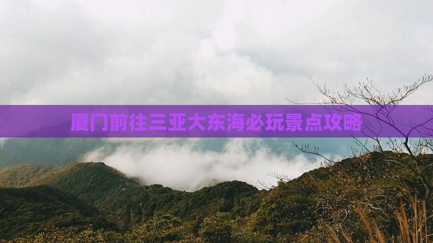 厦门前往三亚大东海必玩地