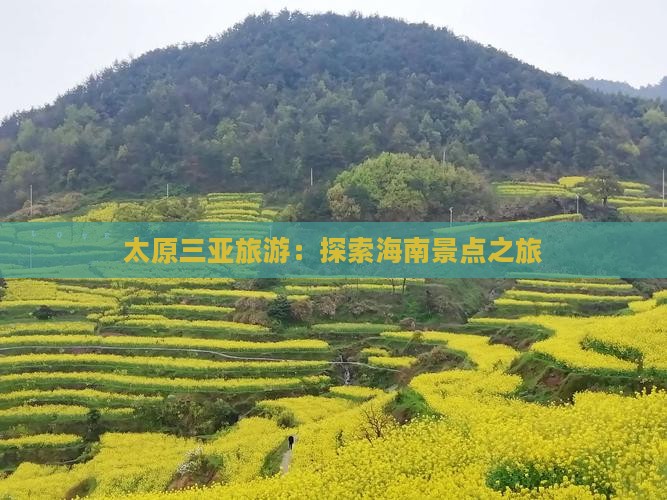 太原前往三亚海棠湾旅行社