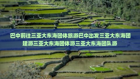 巴中前往三亚大东海团体旅游
