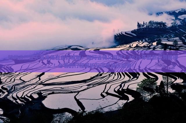 赣州去三亚天涯海角自由行