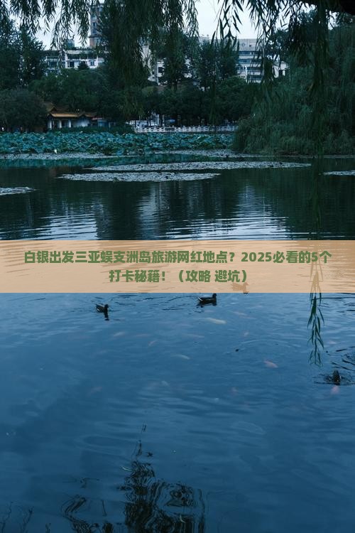 白银出发三亚蜈支洲岛旅游网红地点
