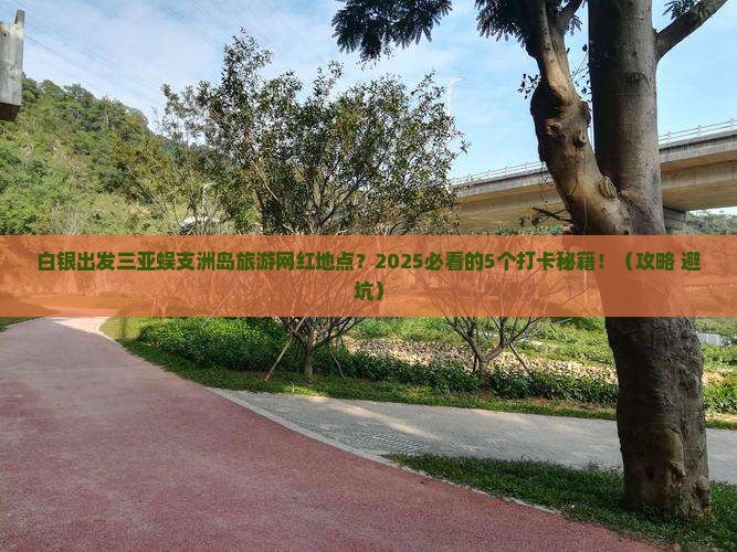 白银出发三亚蜈支洲岛旅游网红地点