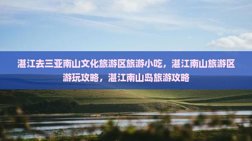 湛江去三亚南山文化旅游区旅游小吃