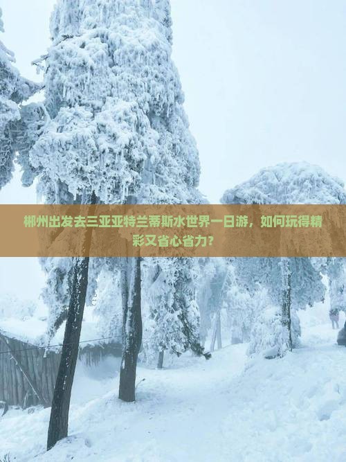郴州出发三亚亚特兰蒂斯水世界一日游