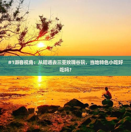 昭通出发三亚亚龙湾国际玫瑰谷旅游小吃
