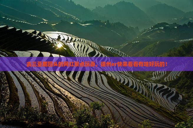 德州前往三亚鹿回头旅游网红地点