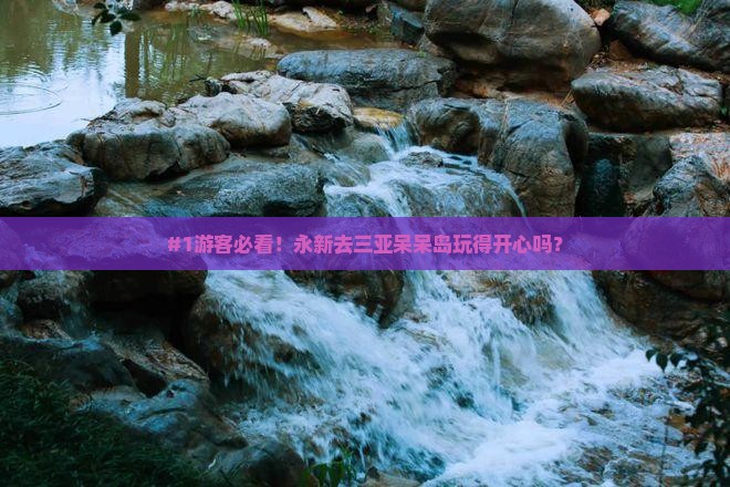 永新前往三亚呆呆岛攻略