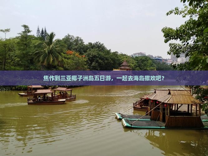 焦作去三亚椰子洲岛五日游