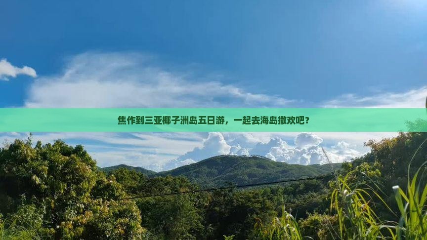 焦作去三亚椰子洲岛五日游