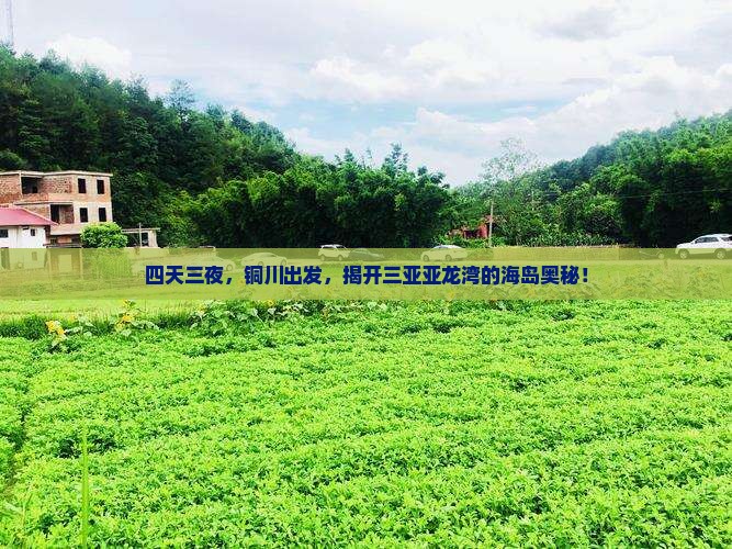 铜川前往三亚亚龙湾四日游