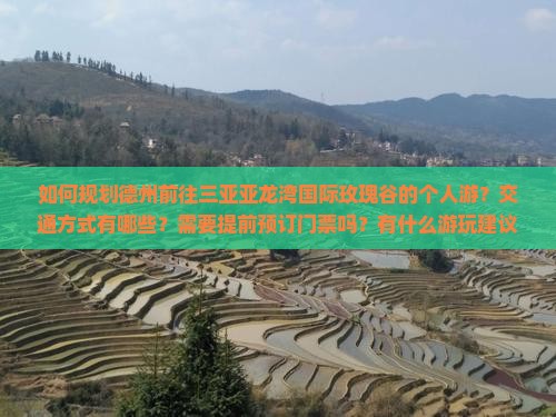 德州前往三亚亚龙湾国际玫瑰谷个人游