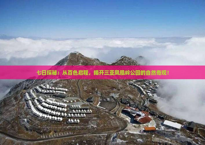 百色出发三亚凤凰岭公园七日游