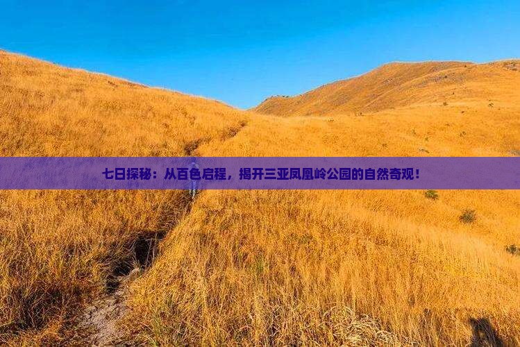 百色出发三亚凤凰岭公园七日游
