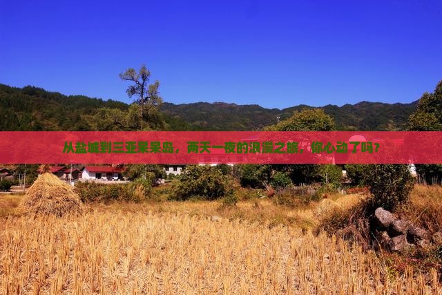 盐城去三亚呆呆岛二日游