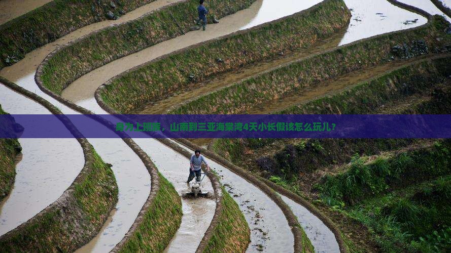 山南出发三亚海棠湾四日游