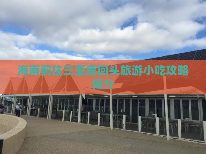 海南前往三亚鹿回头旅游小吃