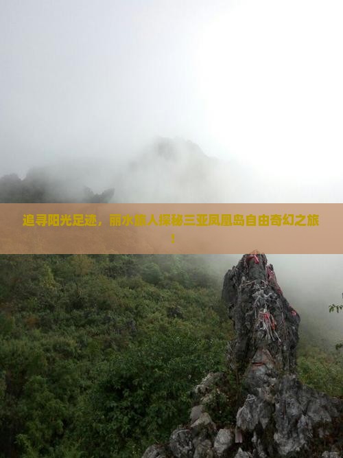 丽水去三亚凤凰岛自由团