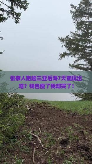 张掖去三亚后海七日游