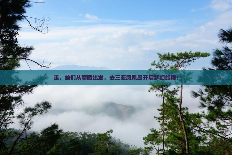 醴陵去三亚凤凰岛旅行社