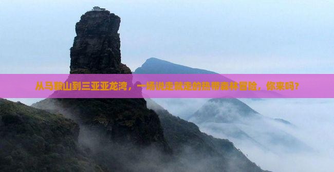 马鞍山出发三亚亚龙湾热带森林公园大型旅游团