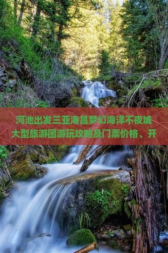 河池出发三亚海昌梦幻海洋不夜城大型旅游团